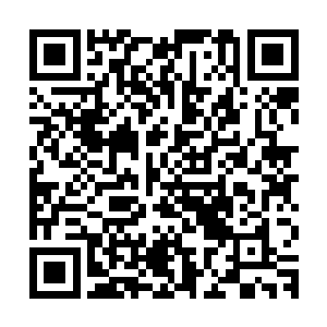 楚暮身边的那一位看似年轻实则沧桑的血红sè长袍剑者有些怪异二维码生成