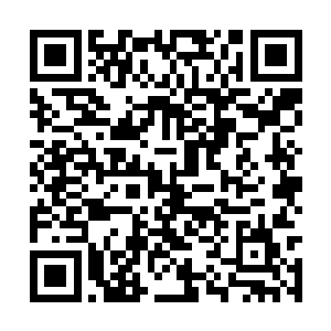 楚枫所看到的却绝对不止是远古时期修武者的强大二维码生成