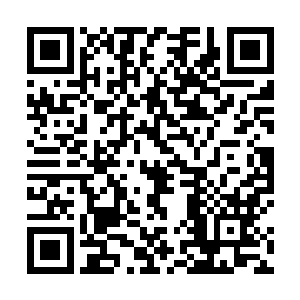 楚西辞猛地把手中的玻璃酒杯狠狠地砸向了一旁的墙壁二维码生成