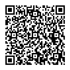 楼主正为林烽学长担心的时候……林烽学长却是噼里啪啦地三拳两腿便将混混们给打趴下了二维码生成