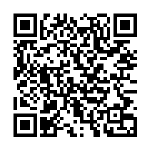 欢喜哥到底还是无法抵御来自睡魔的侵袭而睡着了二维码生成