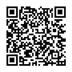 欢迎我们下次来这景区的时候还来他们家住宿用餐二维码生成