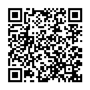 歌手们现在勉强还能靠着演唱会和出席一些商演赚钱二维码生成
