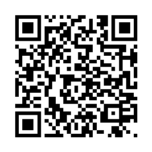 正在一招一式的演练着石门武技一样二维码生成
