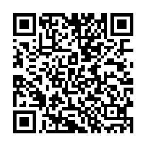 正在大堂中闭目养神的冷轩突然听到门外有响动传来二维码生成