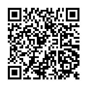 正在大殿上商量事情的龙如风等人无不是十分震动二维码生成