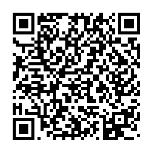 正在挥动如同鞭子一样的雷电剑气横扫漫天雷电的张邪顿时咧嘴一笑二维码生成