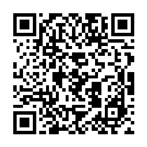 正在操控着机甲和几大王者怪兽战斗的格拉克罗多人二维码生成