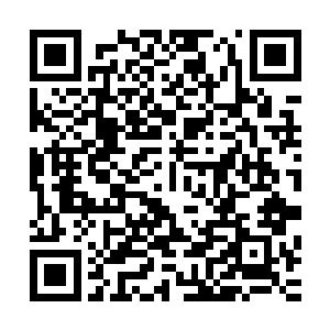 正在用传音之术和身边熟识之人交流着看法的也不止他们两个二维码生成