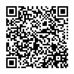 正在用手机或者电脑观看这场发布会的网友们反应才是最为激动的二维码生成