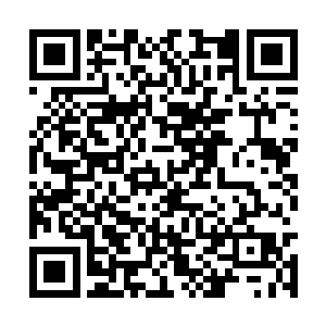 正在用望远镜细细逐寸打量的巴克心里跟明镜似的二维码生成