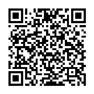 正在龙圈里清理便便的西格玛就这样被拉出来当医生啦~二维码生成