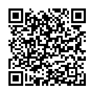 正好从宴会厅里出来跟姨夫撞到一起的大姑登时就不乐意了二维码生成