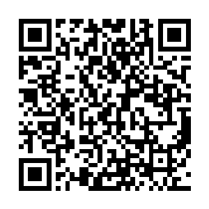 正常很多的巨兽和罗生花控制着的大量的水生生命围攻致死~二维码生成
