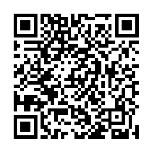 正当荣耀至死的世界巡回演唱会轰轰烈烈地拉开了序幕二维码生成