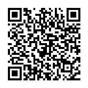正是主教大人代表国教学院和陈长生向整个世界发出的那句宣告二维码生成