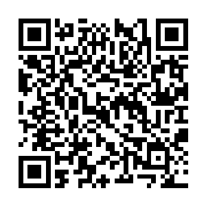 正是之前的时候杨戬在天星秘境之中结识的林薇儿二维码生成