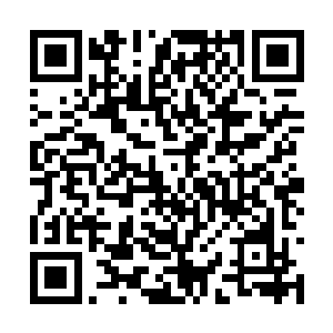 正是之前的时候跟杨戬有过一些矛盾的夏家的夏剑二维码生成