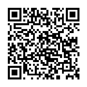 正是当年凌传青亲自训练培养的嫡系――张武林二维码生成