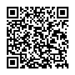 正是由五根结出草籽果的细细茎叶上散发出来的二维码生成