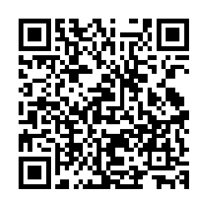 正是通过特殊的渠道运进来的狙枪之王――哈姆特m82a1狙击步枪二维码生成