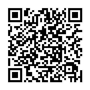 正有他所需要的木土属性的金血药和一些其他的仙级材料二维码生成
