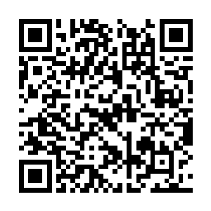 正盯着帐顶念叨赵十九会不会突然从床底下冒出来二维码生成