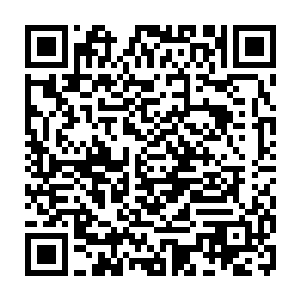 此事也让文武官员知道了为何武王殿下昨日在议事殿中会一度失态的原因二维码生成