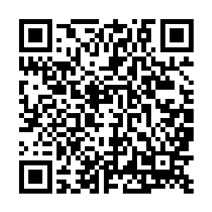 此事关系着我们十大神殿的所有殿主以及副殿主的未来二维码生成