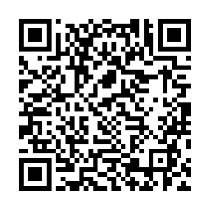 此事镇南关之中九成以上的人的伤势都已经彻底的恢复了二维码生成
