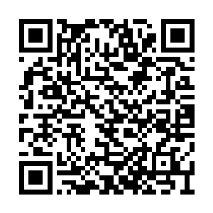 此人正是从楚天行手中拿走古林兽心脏的卿护法二维码生成