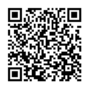 此人身上并无青帝本源气息……应不是对方预测和投资的新种子二维码生成