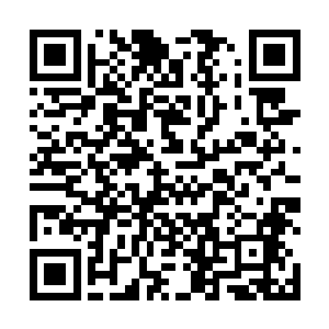 此刻为了遮掩身形而变得漆黑如墨的灵宝闻言竖起身子二维码生成