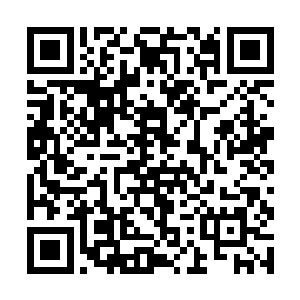 此刻他们所在的位置已经处于天灵殿地域的边沿地带二维码生成