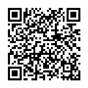 此刻他们看向我的目光有几分害怕更多的则是愤怒二维码生成