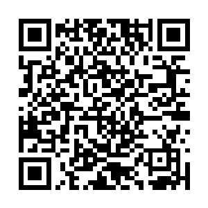 此刻他的血气虽然只是带上了血族大君的一缕气息二维码生成