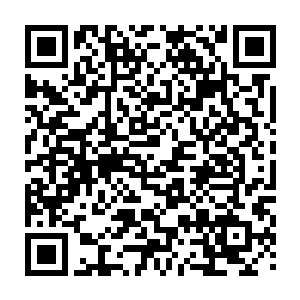 此刻却是变得要多难看有多难看的……往曰那淡定潇洒的气度也是荡然无存了二维码生成