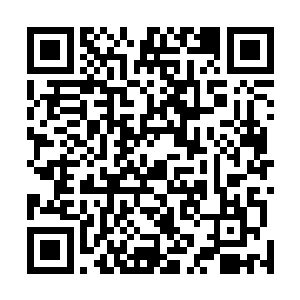 此刻只见金龙那巨大的身躯上已经多了数十道可怕的爪痕二维码生成
