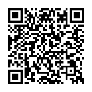 此刻和夜魔正在交战的小九也是神识注意到这边二维码生成