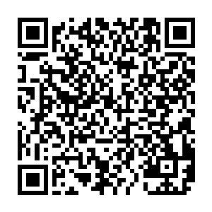 此刻哪里还会犹豫纷纷举起了自己手中的砍刀全部朝着苏凡等人冲了过去二维码生成