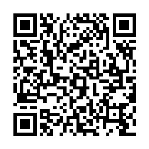 此刻塔尔塔罗斯几乎将所有的注意力都集中在了楚旬的身上二维码生成