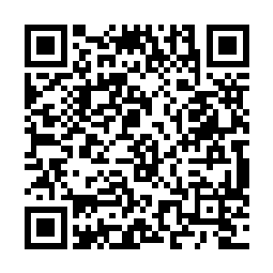 此刻大厅外的那一面护山大阵已经出现了无数撕裂的痕迹二维码生成