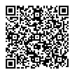 此刻更是数道剑气凶狠无比的向着外围轰杀了过去的……除了这几个荣耀骑士之外二维码生成