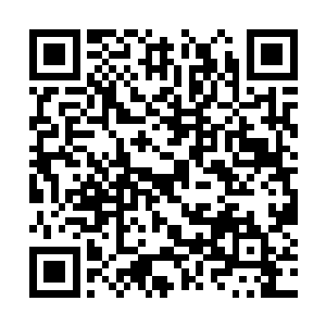 此刻杨开分明察觉到自己的神魂没有受到什么冲击二维码生成