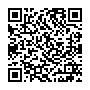 此刻楚旬自然会动用自己最强的土系杀招来对付他了二维码生成