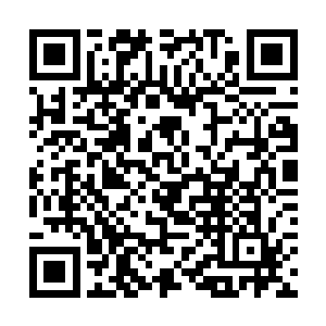 此刻正在一些实力稍高的师兄师姐的安排下排兵布阵二维码生成