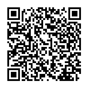 此刻白骨铠甲上那原本只要淡淡一点的刀痕竟然开始逐步扩散加深二维码生成