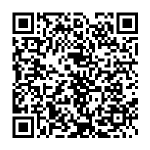 此刻的夕阳再在等待着自己的拳头上的力道彻底的摧毁苏凡的手臂二维码生成