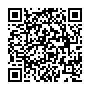 此刻的我在尸王的疯狂攻击之下完全是得心应手二维码生成