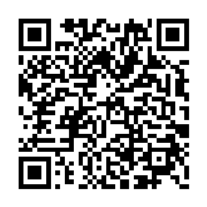 此刻的赵红燕显然已经把适才的紧绷神经给放下二维码生成